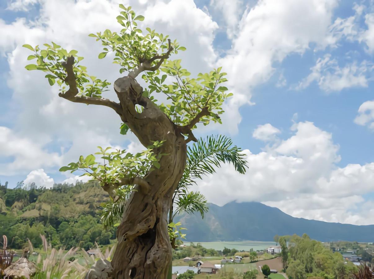 הוילה Baturaja  Batur Cliff Panorama מראה חיצוני תמונה